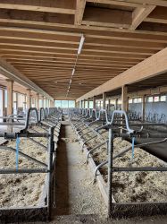 zLiegeboxen_IMG_1327