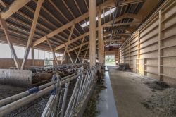 Wüthrich_Noflen_0006