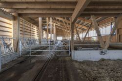Wüthrich_Noflen_0013