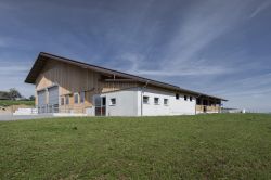 Wüthrich_Noflen_0017