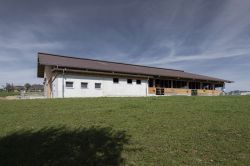 Wüthrich_Noflen_0019